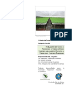 Evaluación de Costos de Producción de Planta en Viveros PDF