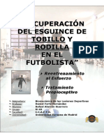 Recuperación Esguinde de Tobillo y Rodilla PDF