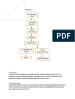 SN - Manifestasi Dan Patof