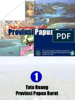 Profil Papua Barat-972003