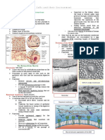 Chapter 7 CMB PDF