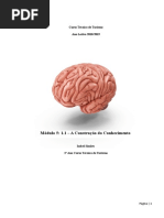 A Construção Do Conhecimento