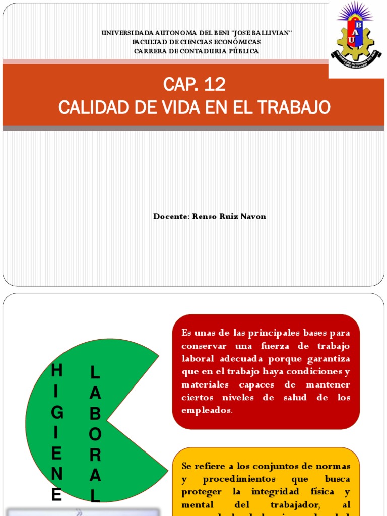 Higiene y Calidad de Vida Laboral | PDF | Seguridad y salud ocupacional ...