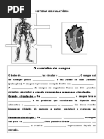 sis circulatório