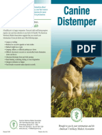 Distemper Brochure