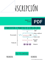 Presentación Sin Título PDF