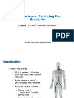 Spinal Control of Movement