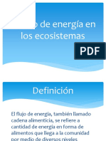 El Flujo de Energía en Los Ecosistemas