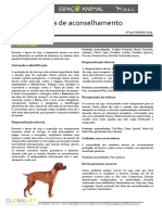 45 O Cão de Caça