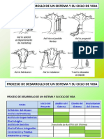 Desarrollo de un Sistema y su Ciclo de vida