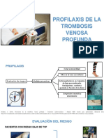 Profilaxis Trombosis Venosa Profunda