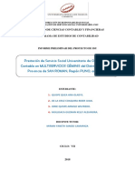 Responsabilidad Formato Del Informe Preliminar 2 PDF