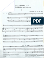 Cirri Sonata PDF