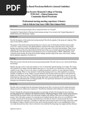 professional meeting reflective journal
