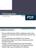 UEU-paper-6604-6_Embriogenesis.pdf