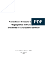 Variabilidade Molecular e Análise Filogenetica de Populaçoes de Ancylostoma Caninum