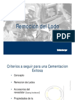 09 - Remoción del Lodo.pdf