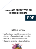 10 Funciones Cognitivas Del Córtex Cebrbral