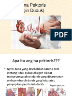 Angina Pektoris