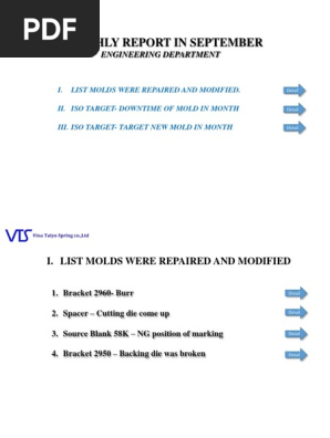Monthly Report
