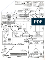 Creation of Qi Study Guide