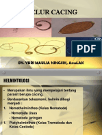 TELUR CACING Revisi