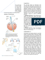 Neuro-Ophthalmic Disorder Cranial Nerve