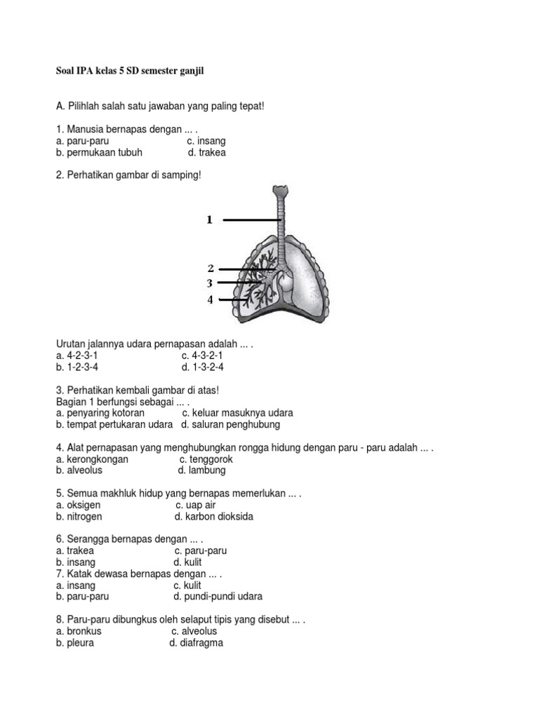 Soal Ipa Kelas 5 Materi Zat Tunggal