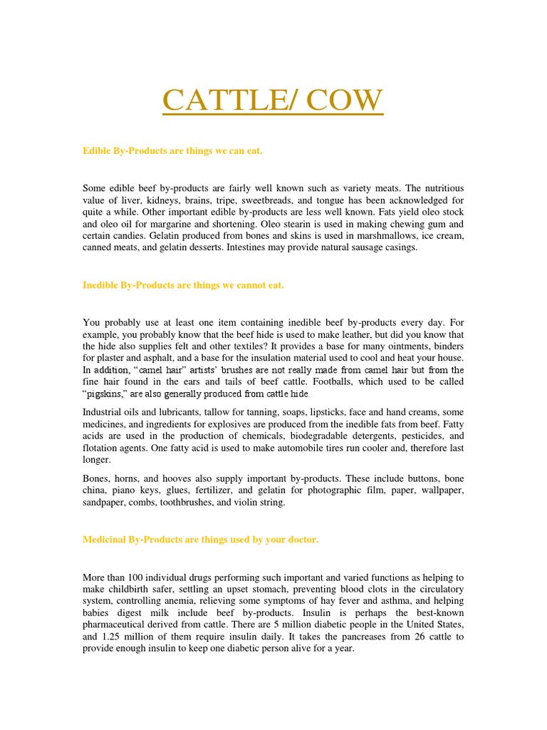 Cattle/ Cow: Edible By-Products Are Things We Can Eat | PDF | Yogurt | Milk