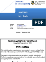 ANAT1005 CNS1 Brain 2012 PDF