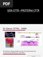 Gen Cftr –Proteína Cftr