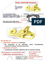 Agentes Causales de La Angiomatosis