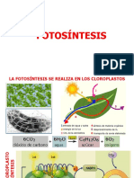 6 Fotosintesis 2018