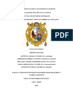 Contaminación Del Río Rímac