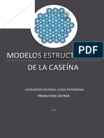 Modelos Estructurados de La Caseína