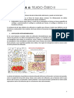 TEMA 6 de biologia celular 2, grado de biologia, uma.