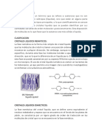 CRISTALES LIQUIDOS