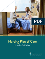 Nursing Plan of Care Practice Guideline 1