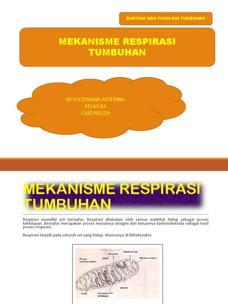 Mekanisme Respirasi Tumbuhan 2 | PDF