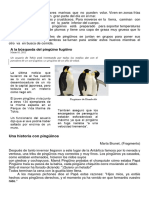 Los Pingüinos - Lectura Básica