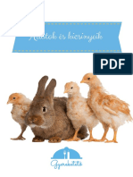Állatok És Kicsinyeik PDF