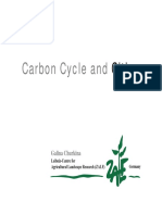 Carbon Cycle and Carbon Cycle And: Cities Cities