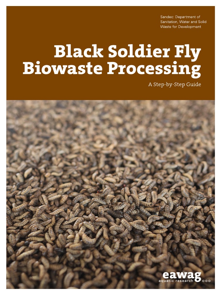 Black Soldier Fly Biowaste Processing 5x