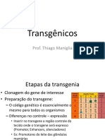 Aula 4 - Transgenia