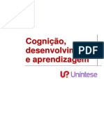 unintese_funcoes-cognitivas.pdf