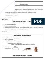 Os principais grupos de artrópodes