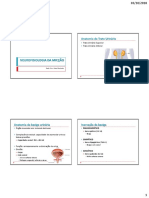 Aula 5_Neurofisiologia da micção.pdf