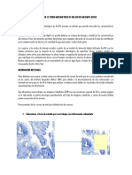 Informe de Aforo Con Molinete