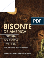 El Bisonte de América Historia, Polémica y Leyenda