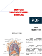 Anatomi Crossectional Thorax